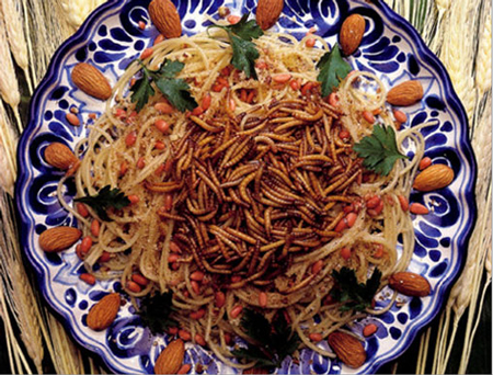 [صورة: insects1.jpg]