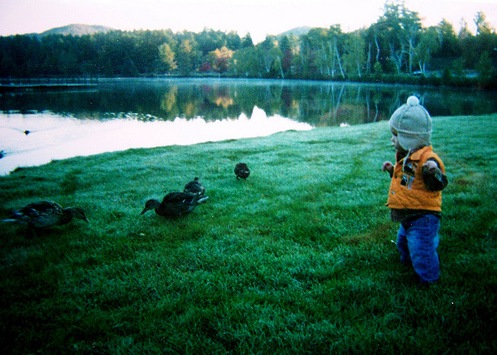 [clip_image0025.jpg]