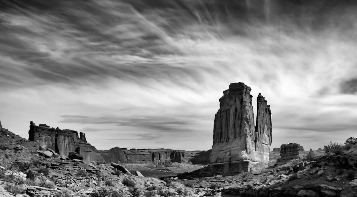 [_MG_4850-copy[10].jpg]
