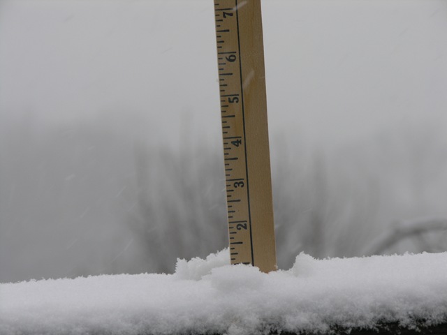[SnoFall_012910_08[3].jpg]