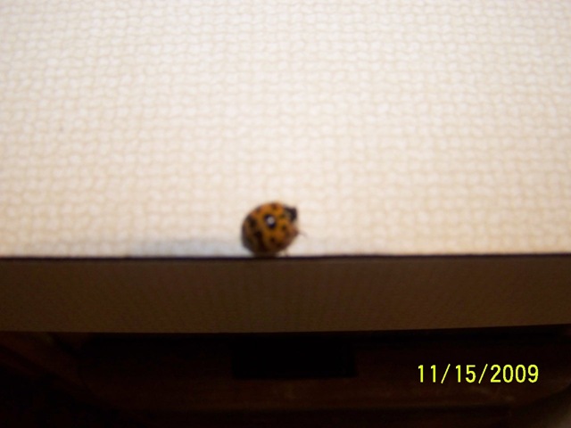 [0093.jpg]