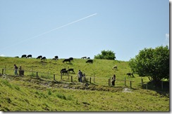 DSC_0276 DSC_0276