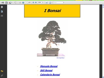 manualebonsai1
