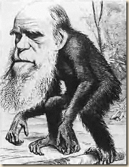 Darwin_ape Darwin_ape