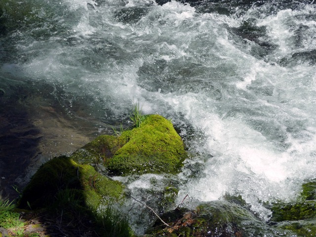[P10208103.jpg]