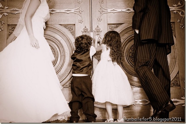 wedding260 wedding260