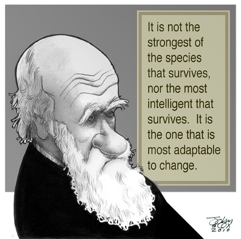 darwin darwin