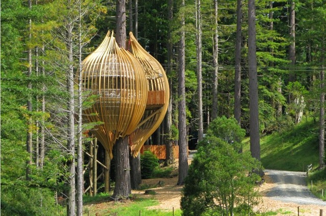 [Yellow-Treehouse-2-Thumb[3].jpg]