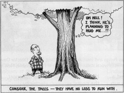 Tree Cut Cartoon