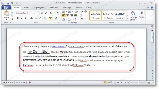 MS WORD 2010
