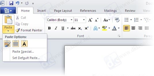 MS WORD 2010