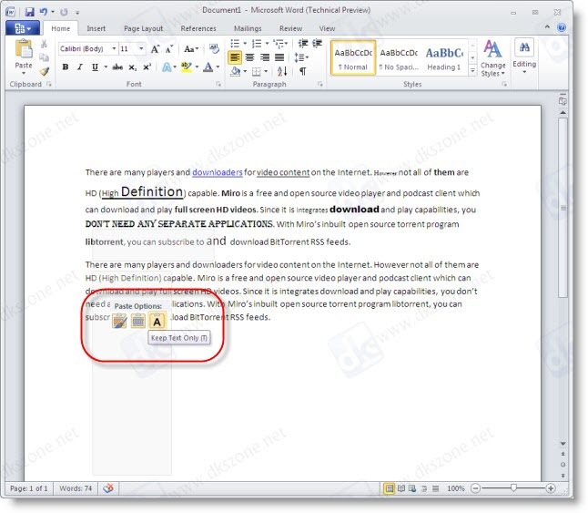MS WORD 2010