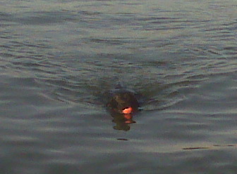 IMG00103.jpg