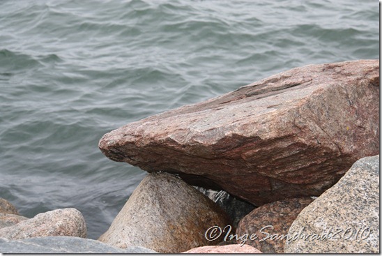 IMG_6871 IMG_6871