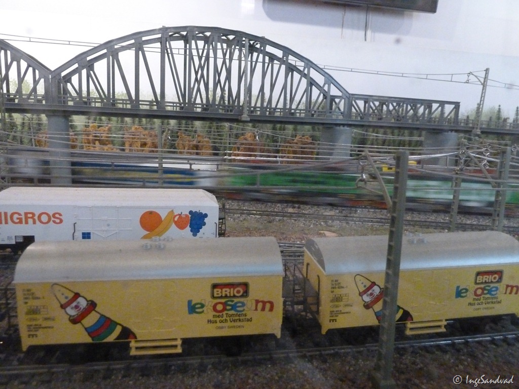[P1020935[3].jpg]