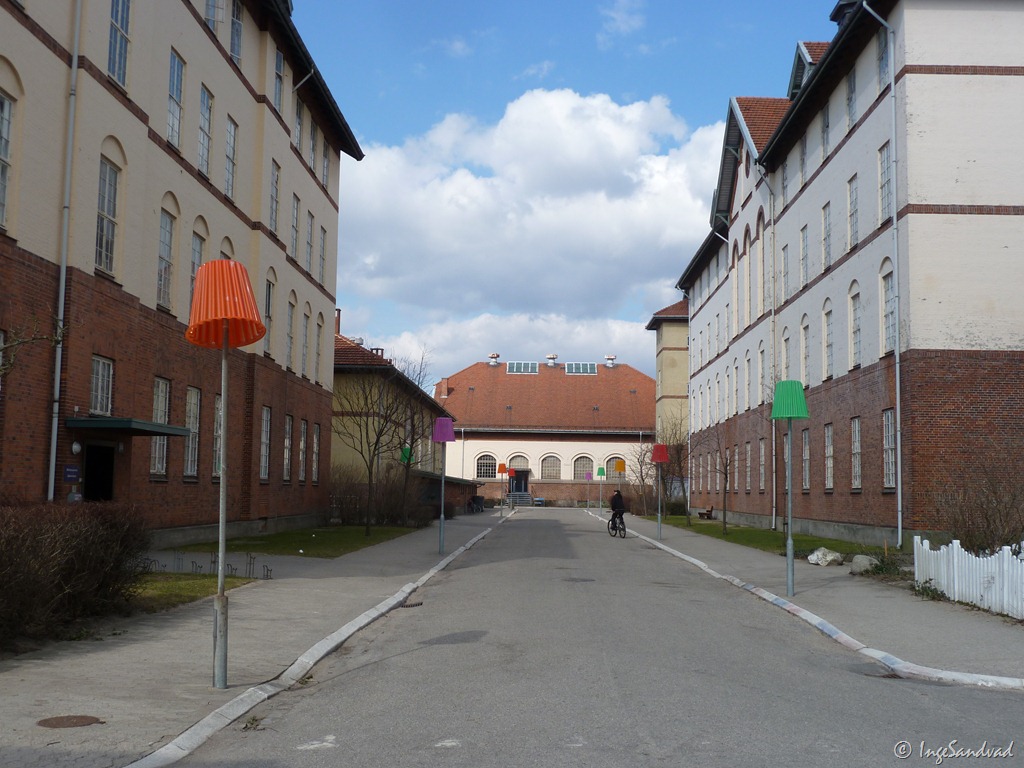 [P1030538[3].jpg]