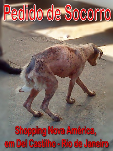 [rj_cao_help[4].jpg]