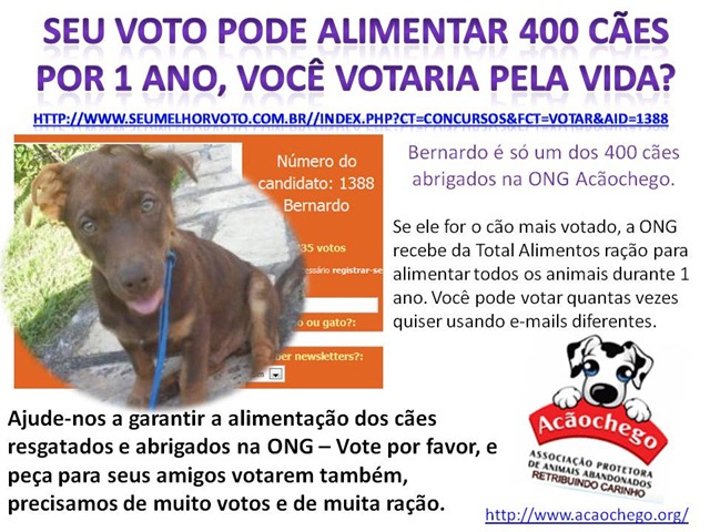 [vote_acaochego[4].jpg]