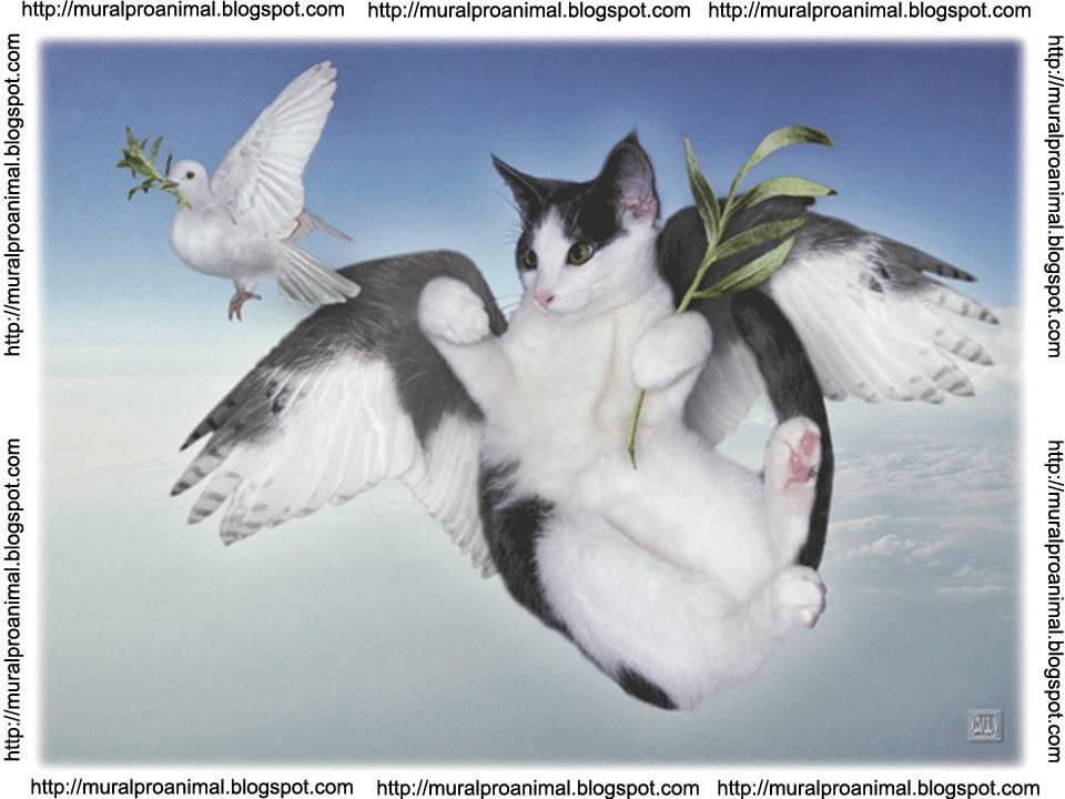 [ilhadosgatos (25)[2].jpg]