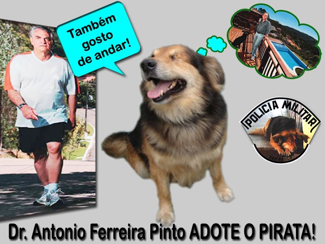 [adoteopirata[3].jpg]