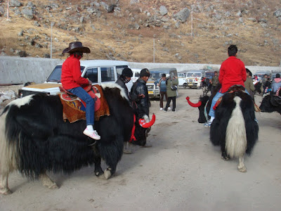 at Tsomgo Lake