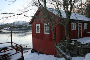 Insel im Fjord
