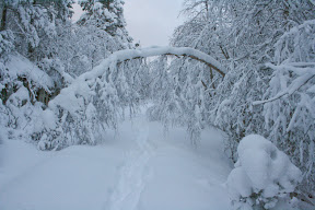 winterwonderland