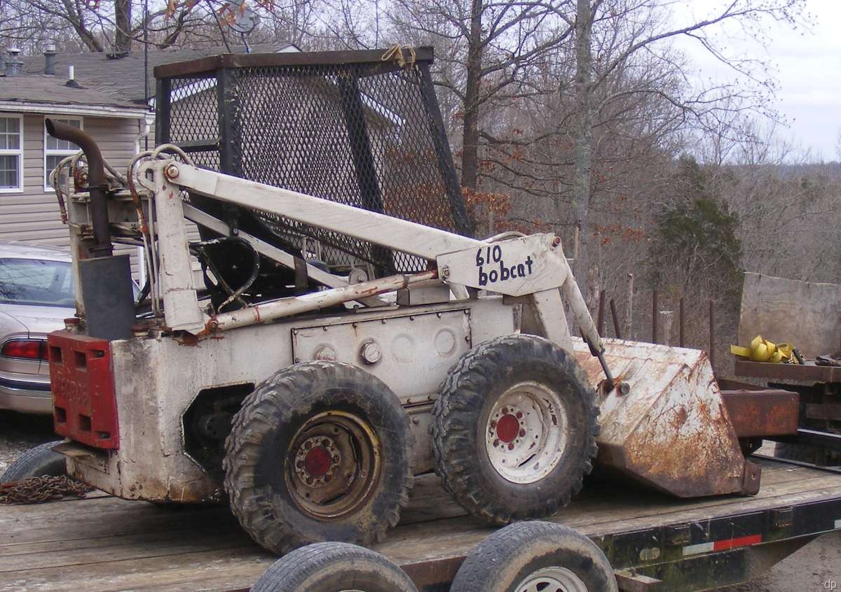 [bobcat 003a[5].jpg]