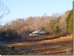 from a distance from a distance