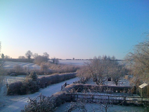 Winter.jpg
