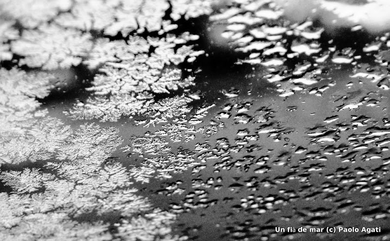 Melting fractals