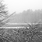 Farmington River Reservoir snowscape