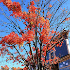 Beautiful Fall colors in Collinsville Connecticut. Stunning example of New England colors