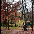 Park showcasing the stunning Fall colors