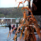 LaSalles Market Halloween Decorations