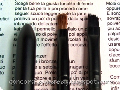 Giveaway-Minerale-Puro-make-up-Set-Pennelli-Particolare-3 Giveaway-Minerale-Puro-make-up-Set-Pennelli-Particolare-3
