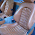 DSC04247.JPG