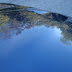 DSC04214.JPG