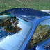DSC04215.JPG
