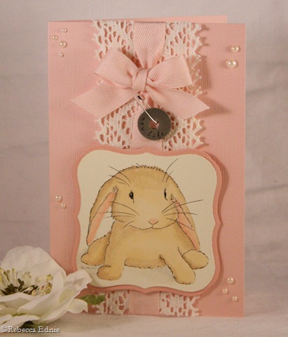[baby girl bunny wabbit[4].jpg]