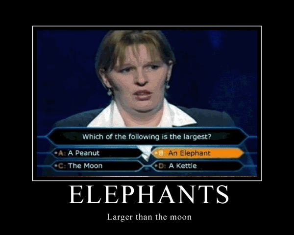 [elephants-larger-than-moon[11].gif]
