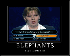 elephants-larger-than-moon