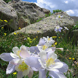 Continental Divide Hike