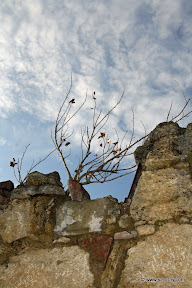 2009-08-14 19-06-54_IMG_5746.JPG