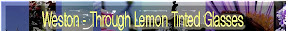 weston_lemonvision.jpg weston_lemonvision.jpg