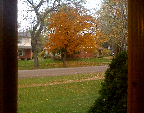 [102809_001[3].png]