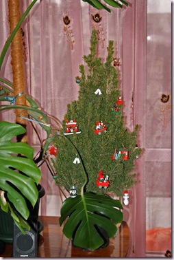 IMG_6158 IMG_6158