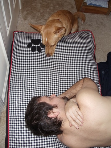 [DSC00686[2].jpg]