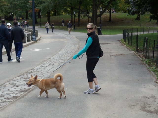 [DSC00397[1].jpg]