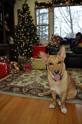 [DSC_0167[2].jpg]